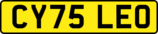 CY75LEO