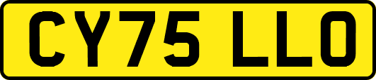 CY75LLO