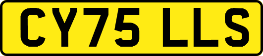 CY75LLS