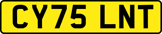 CY75LNT