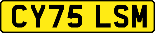 CY75LSM