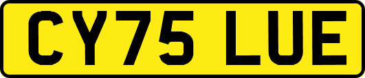 CY75LUE