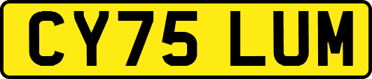 CY75LUM