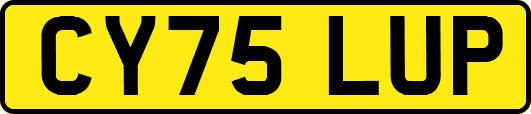 CY75LUP