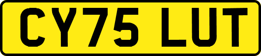 CY75LUT