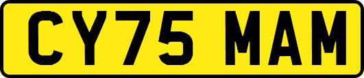 CY75MAM