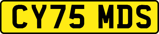 CY75MDS
