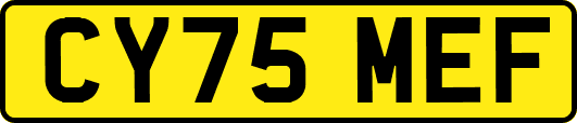 CY75MEF
