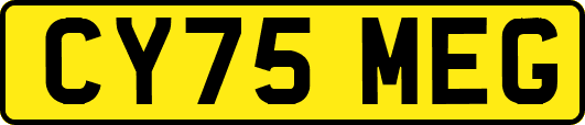CY75MEG