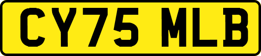 CY75MLB
