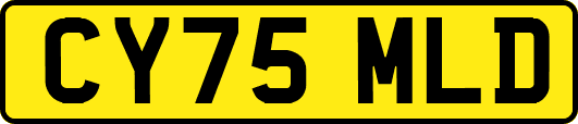 CY75MLD