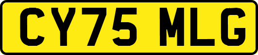 CY75MLG