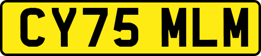 CY75MLM