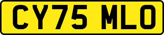 CY75MLO