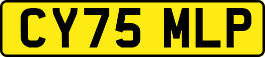 CY75MLP