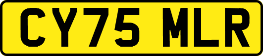 CY75MLR