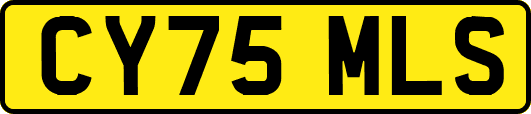 CY75MLS