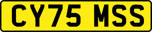 CY75MSS