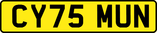 CY75MUN