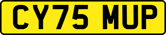 CY75MUP