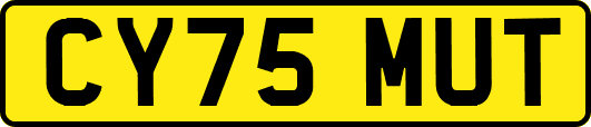CY75MUT