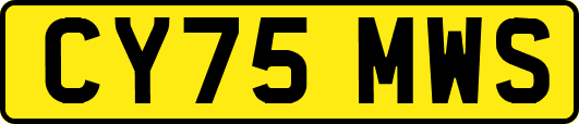 CY75MWS