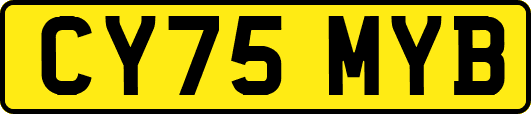 CY75MYB