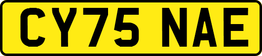 CY75NAE