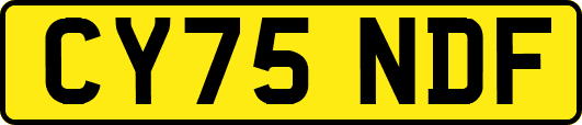 CY75NDF
