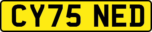 CY75NED