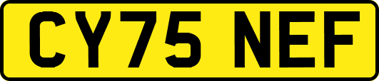 CY75NEF