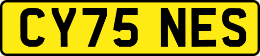 CY75NES