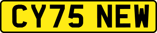 CY75NEW