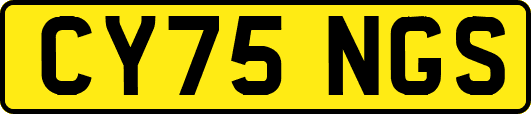 CY75NGS