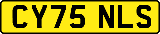 CY75NLS
