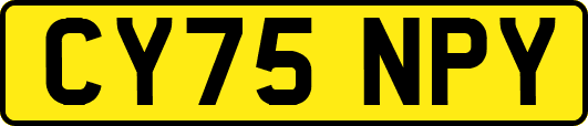 CY75NPY