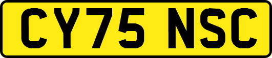 CY75NSC