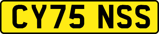 CY75NSS