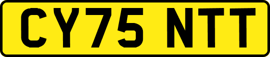 CY75NTT