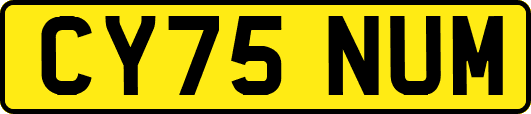 CY75NUM