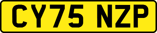CY75NZP