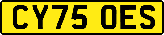 CY75OES