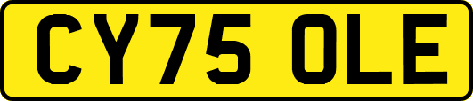CY75OLE