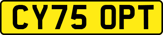 CY75OPT