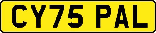 CY75PAL