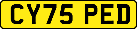 CY75PED