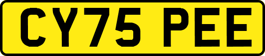 CY75PEE