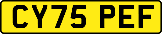 CY75PEF