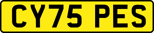 CY75PES