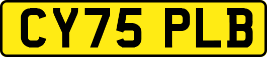 CY75PLB
